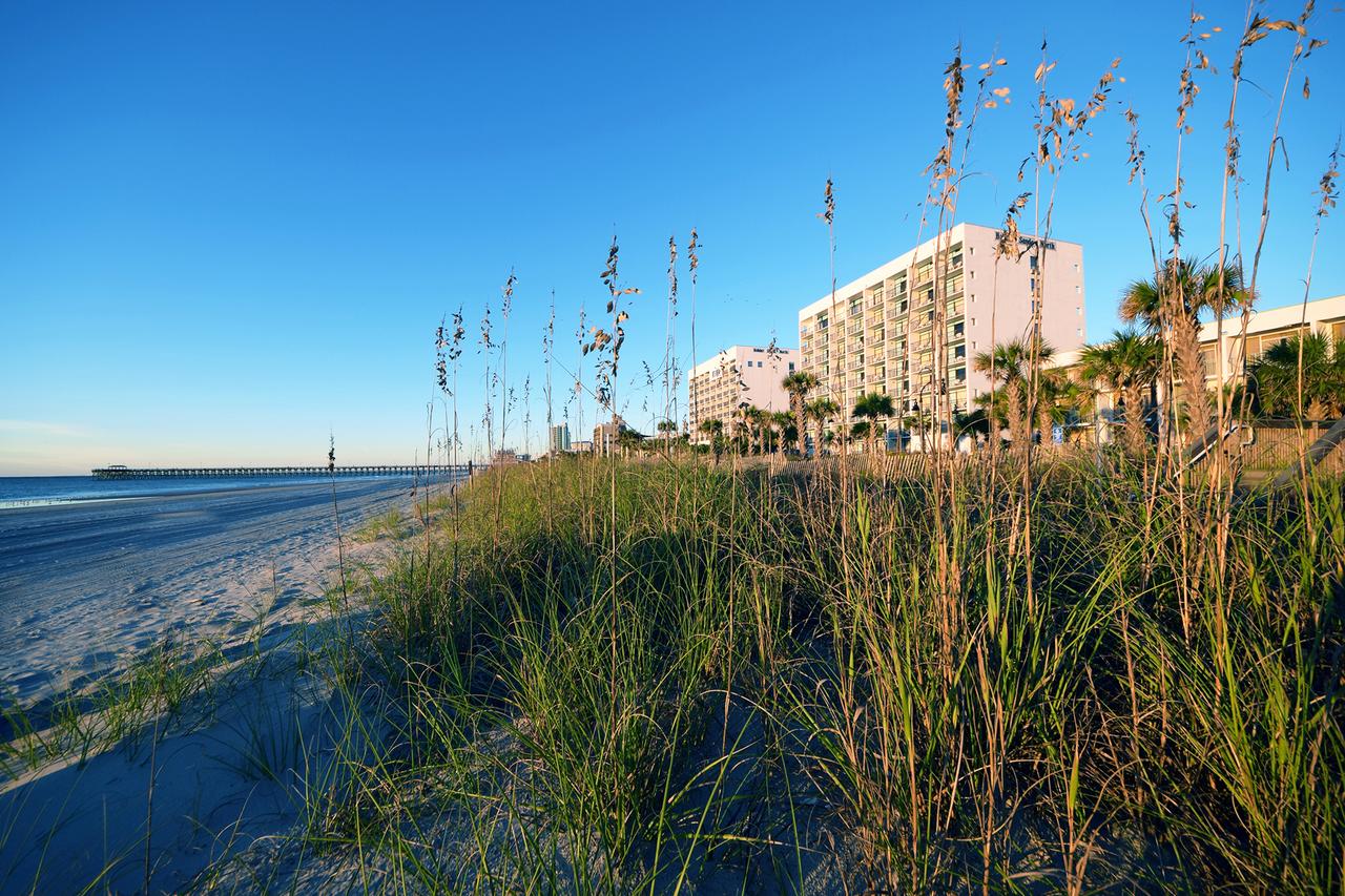 Holiday Sands North On The Boardwalk - thumb 26