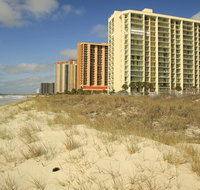 Kingston Plantation Condos by Hilton - Accommodation Deal