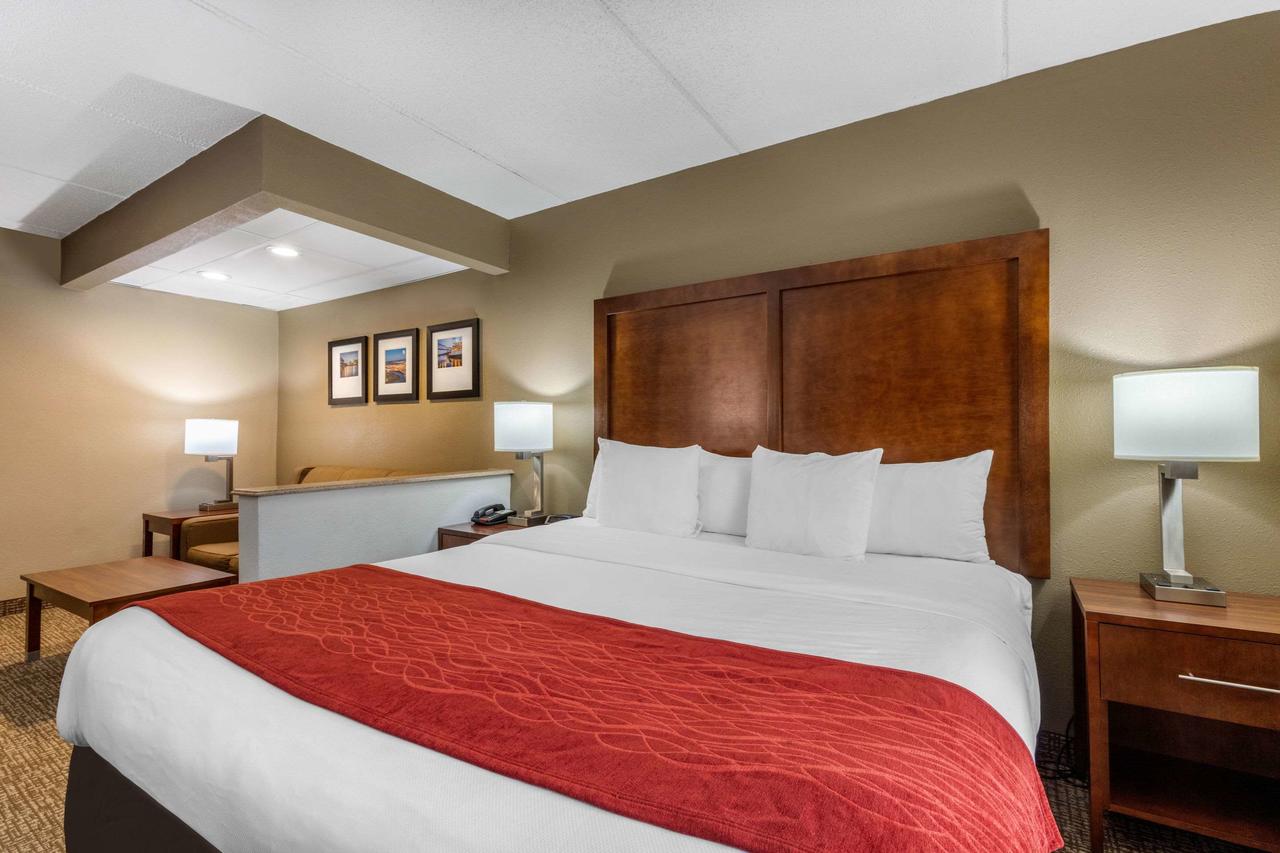 Comfort Inn & Suites Hamilton Place - thumb 6