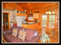 Almost Paradise Cabin Accommodation Deal