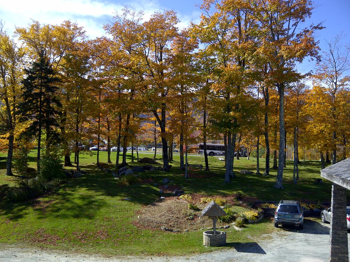 Cascades Lodge - thumb 8