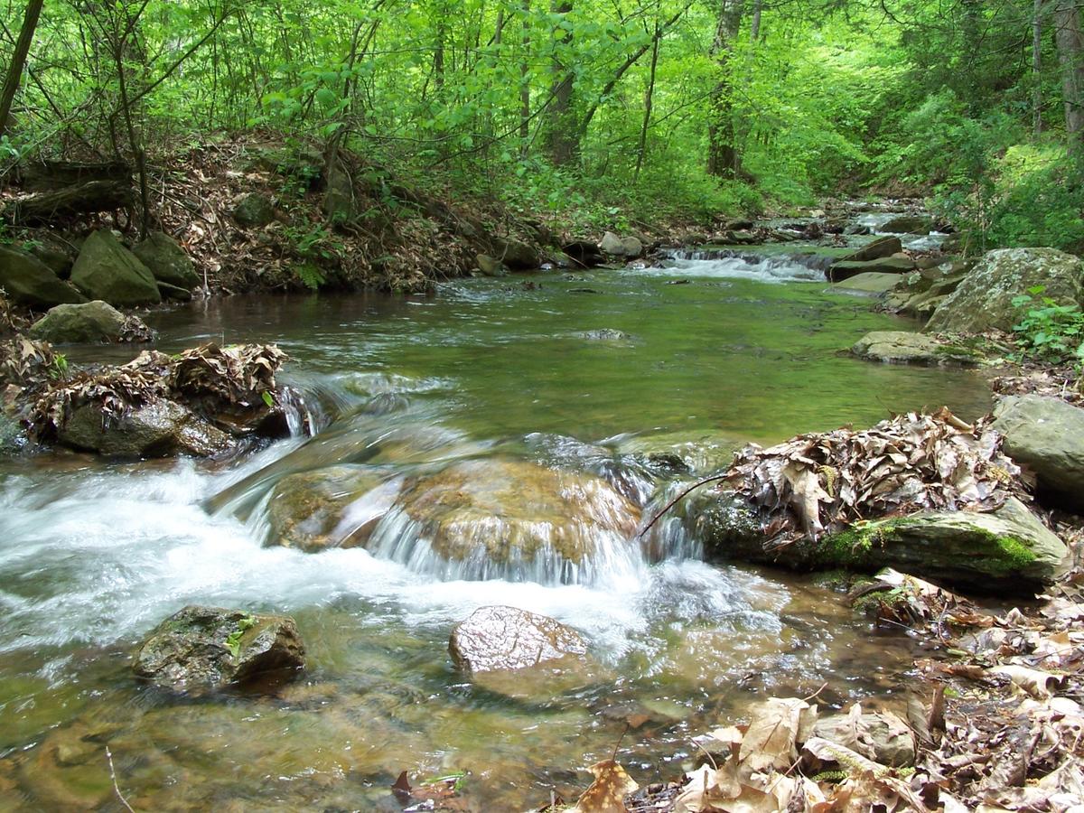 Cabin Creekwood - thumb 4