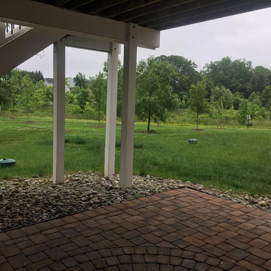 Very Clean Spacious Basement (Private Entrance) - thumb 5