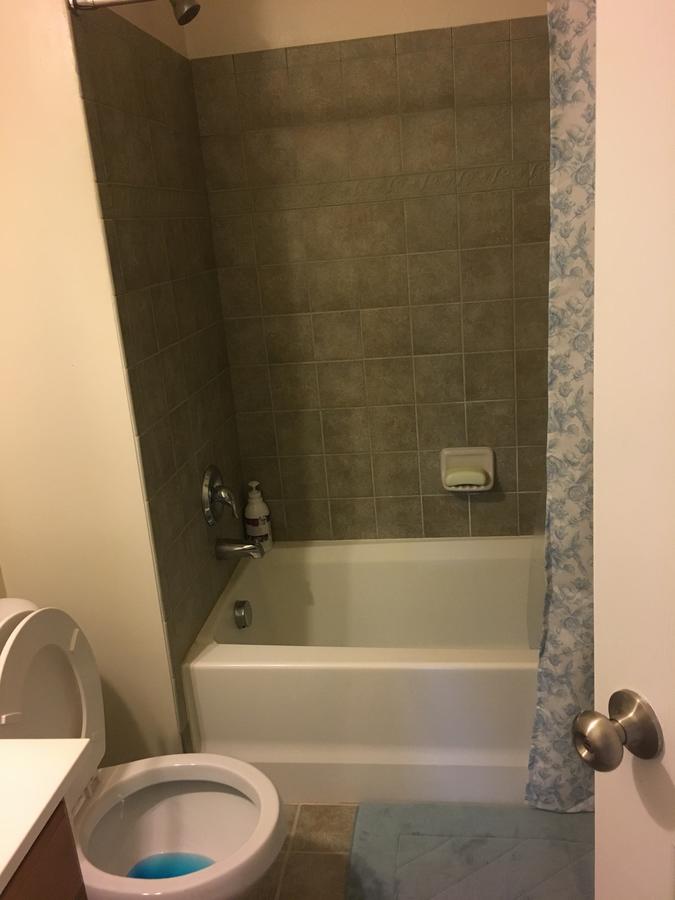 Very Clean Spacious Basement (Private Entrance) - thumb 37