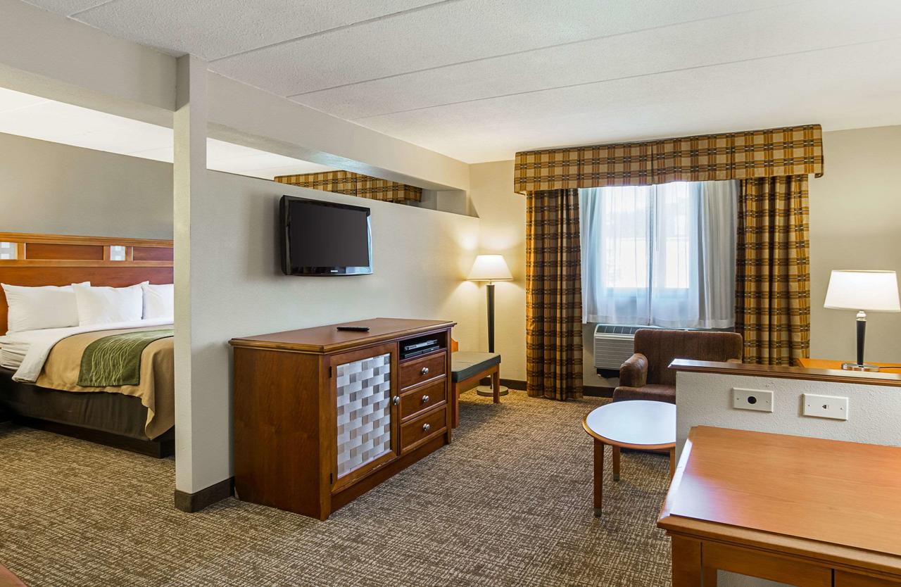 Comfort Inn Washington Dulles International - thumb 9