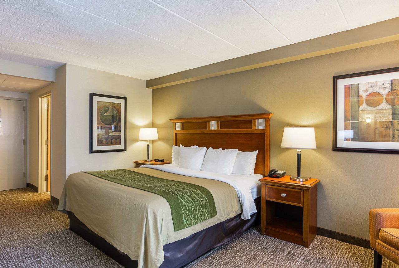 Comfort Inn Washington Dulles International - thumb 5