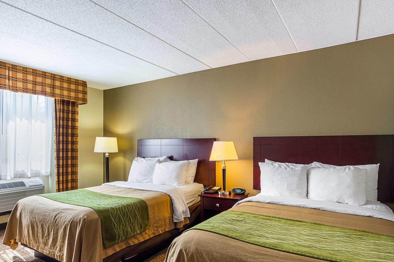 Comfort Inn Washington Dulles International - thumb 7