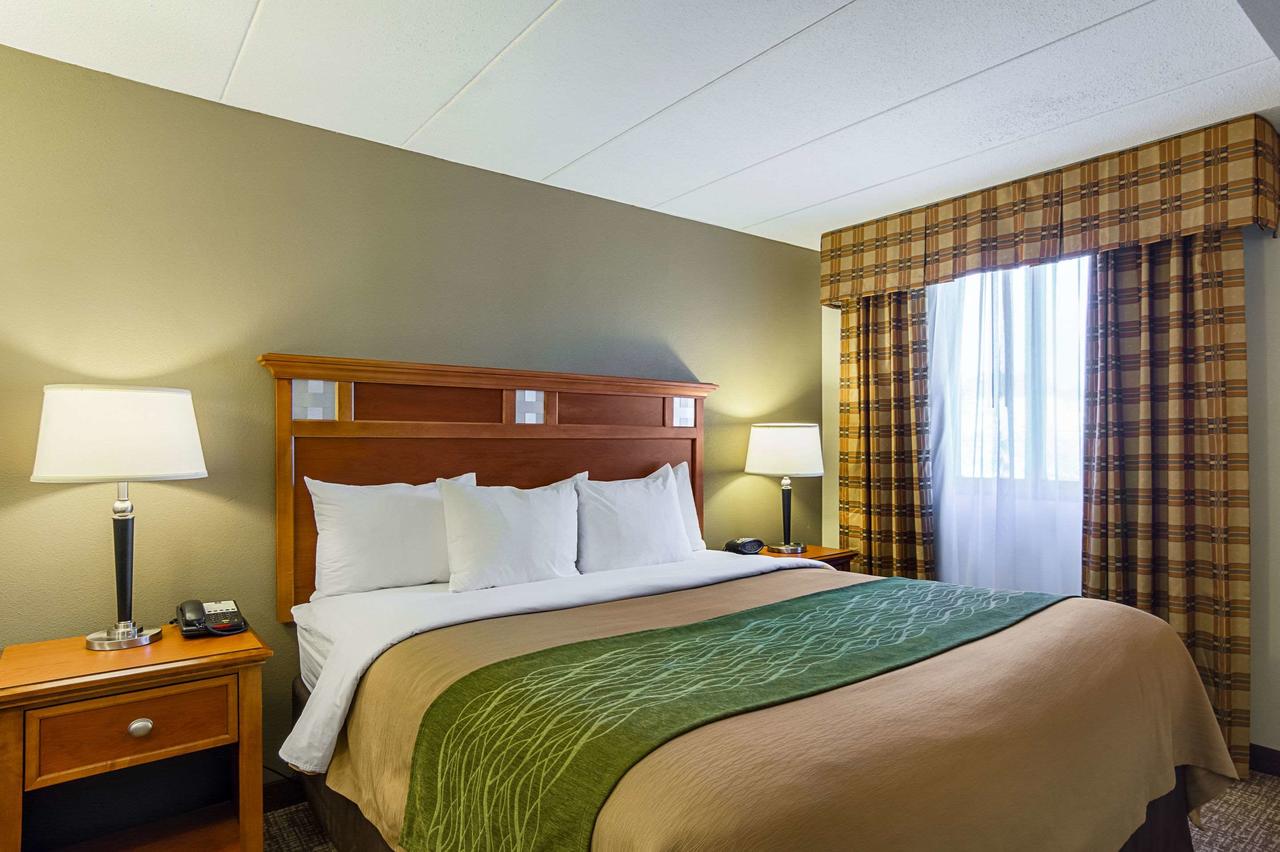 Comfort Inn Washington Dulles International - thumb 6