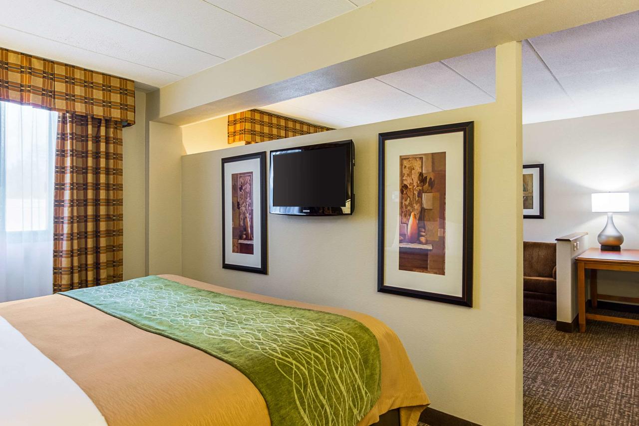 Comfort Inn Washington Dulles International - thumb 20