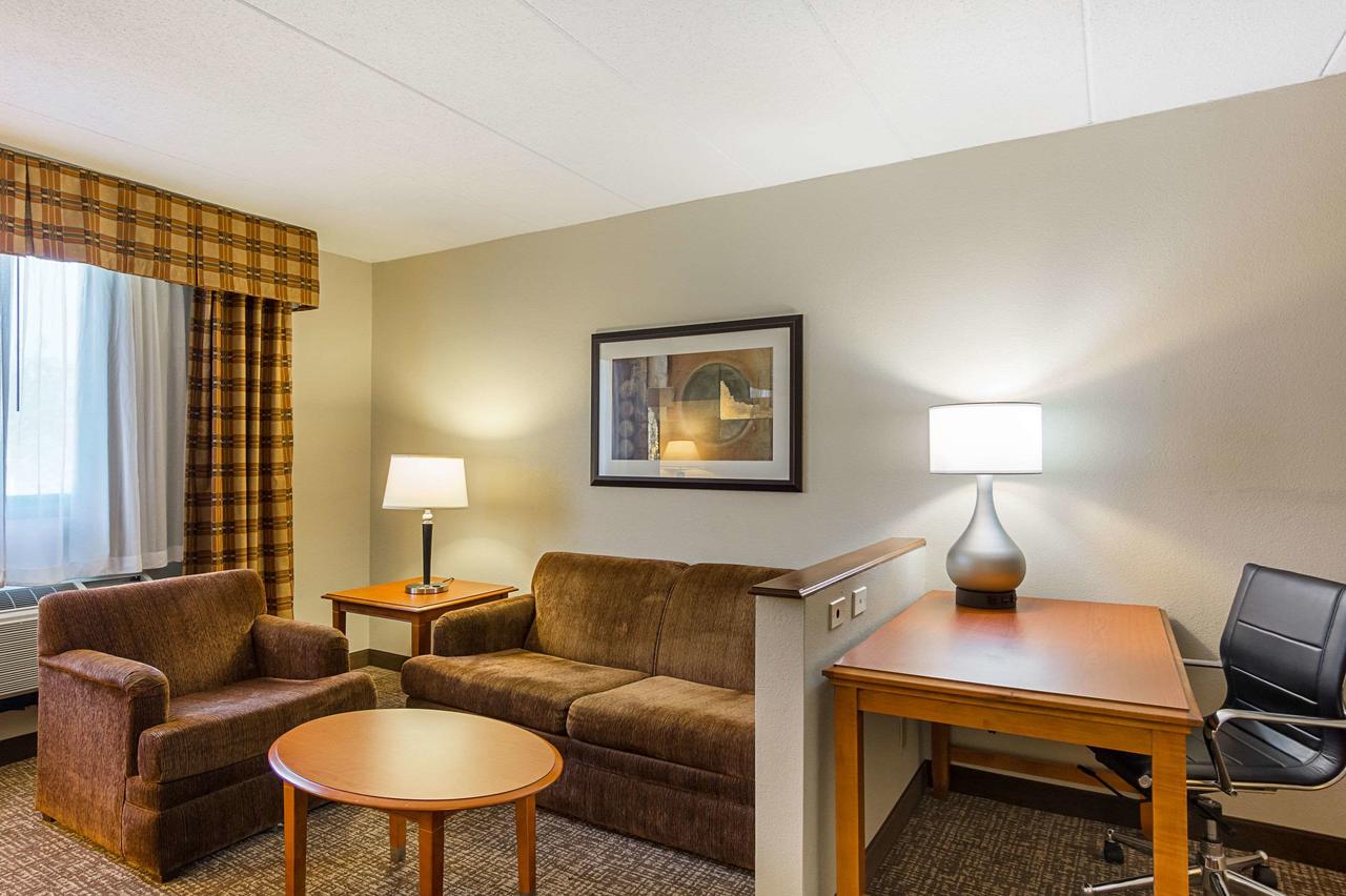 Comfort Inn Washington Dulles International - thumb 25