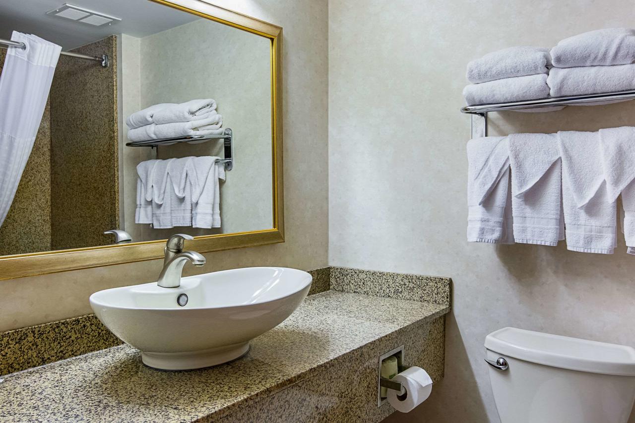 Comfort Inn Washington Dulles International - thumb 15