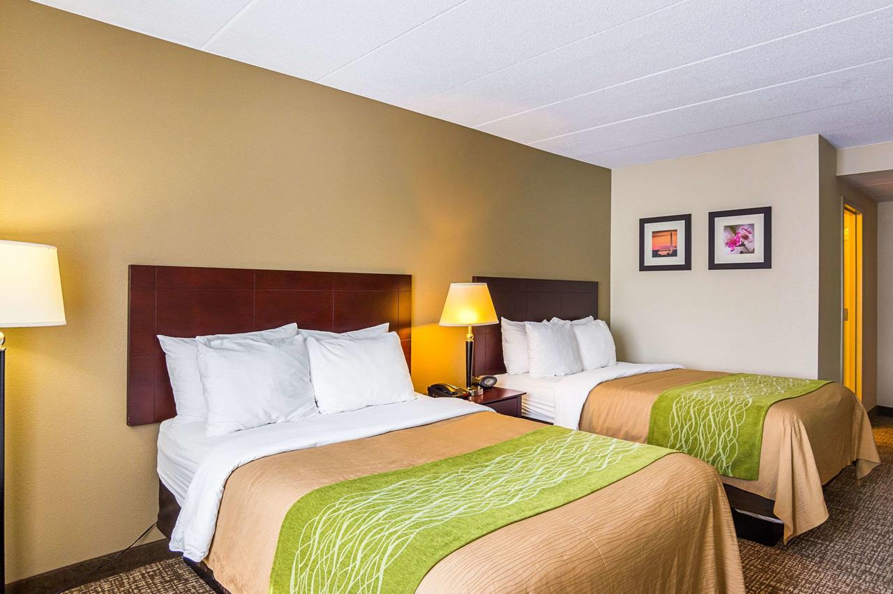 Comfort Inn Washington Dulles International - thumb 14