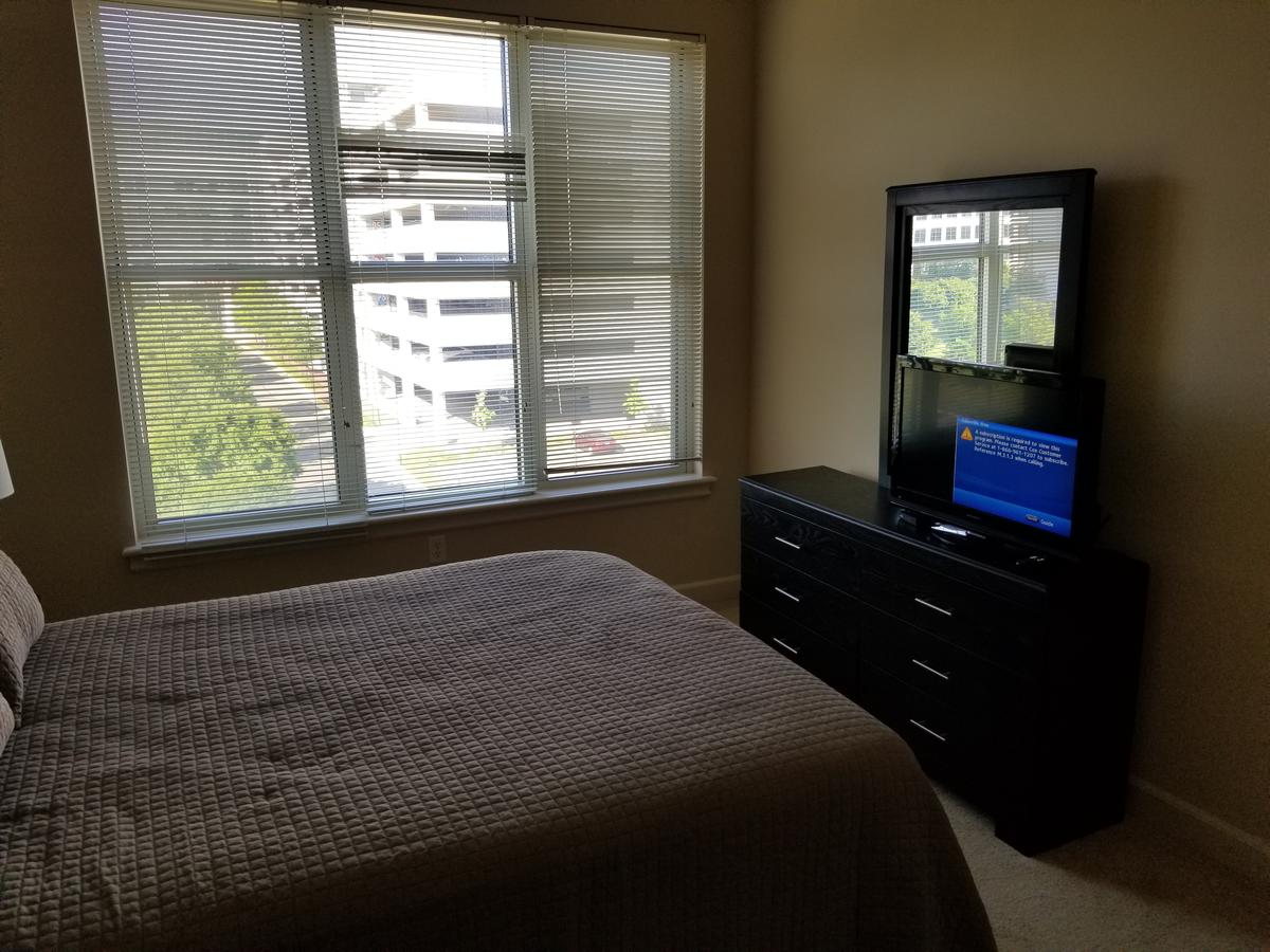 Dulles Station Apartments - thumb 40