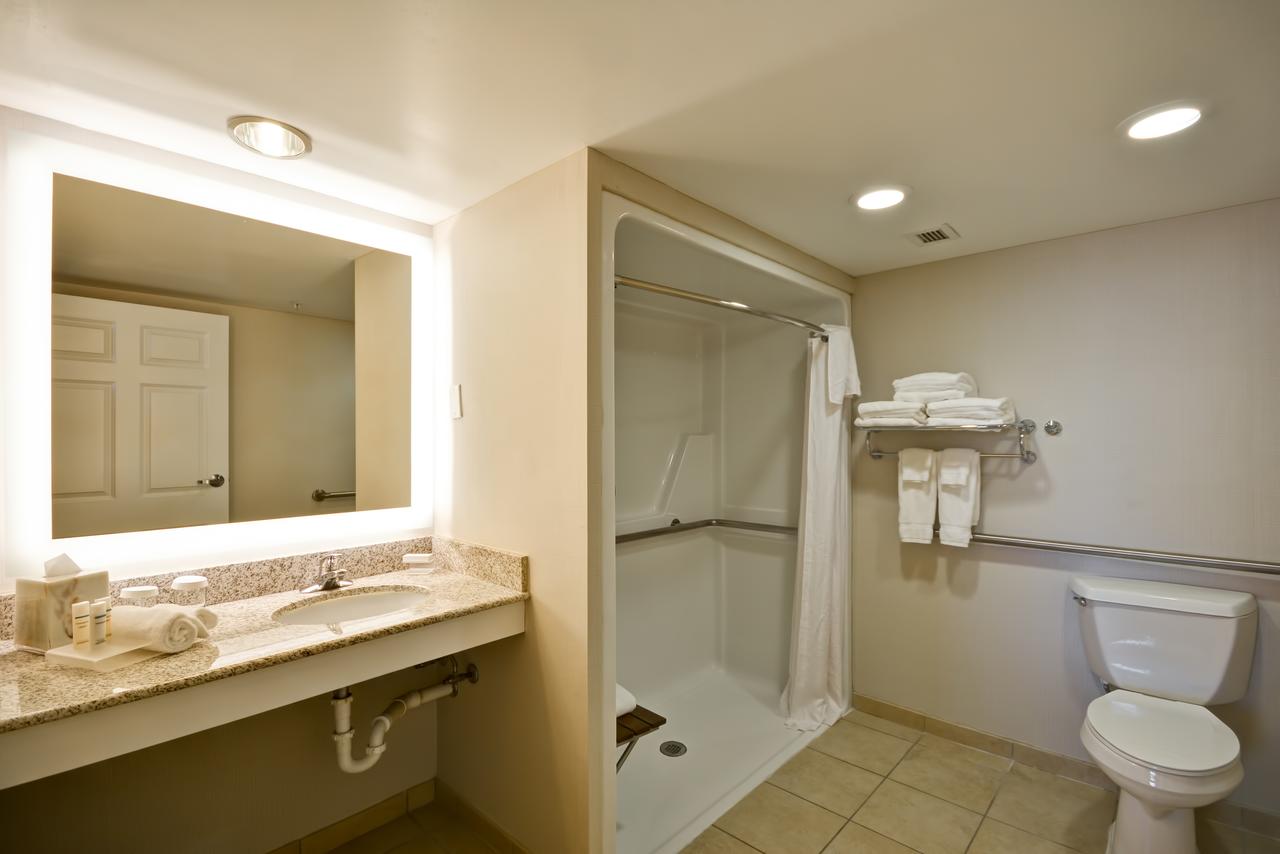 Homewood Suites Dulles-International Airport - thumb 31