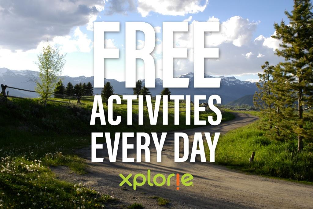 Lupine 1911 Condo - thumb 2