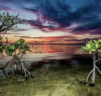 Conch Key Fishing Lodge  Marina - Accommodation Deal
