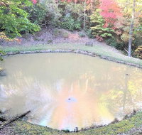 Ducks Nest Retreat- Ocoee River Area - Accommodation Deal