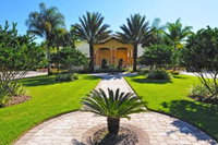 Paradise Palms - 8891 Candy By FairytaleVR Accommodation Deal