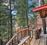 Pet Friendly Cloudcroft Cabin with Forest Views - Accommodation Deal