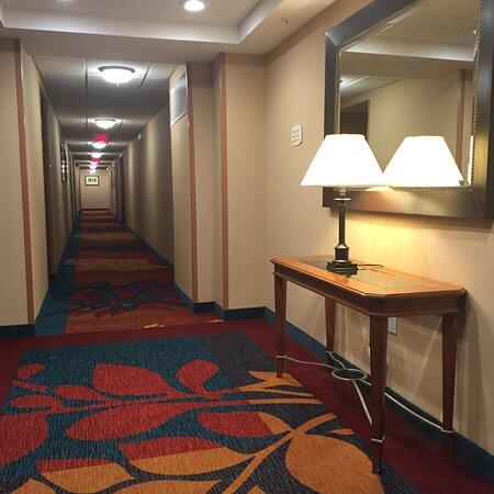 Residence Inn Silver Spring - thumb 3