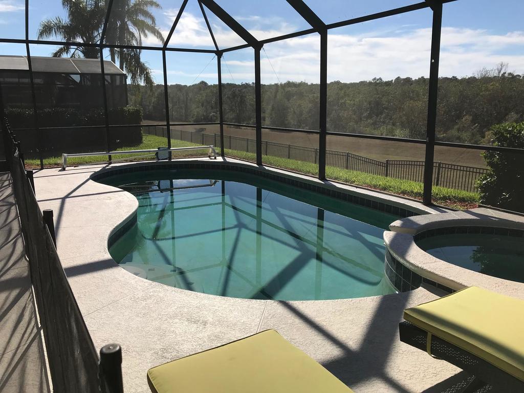Sun Palm 8119 - thumb 2