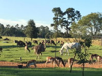 Sunset house 1 Accommodation Deal