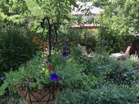 The Indigo at Nancys Cottage Accommodation Deal