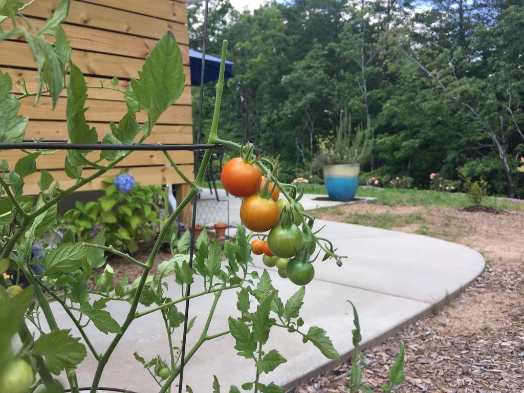 The Limelight Inn - thumb 1