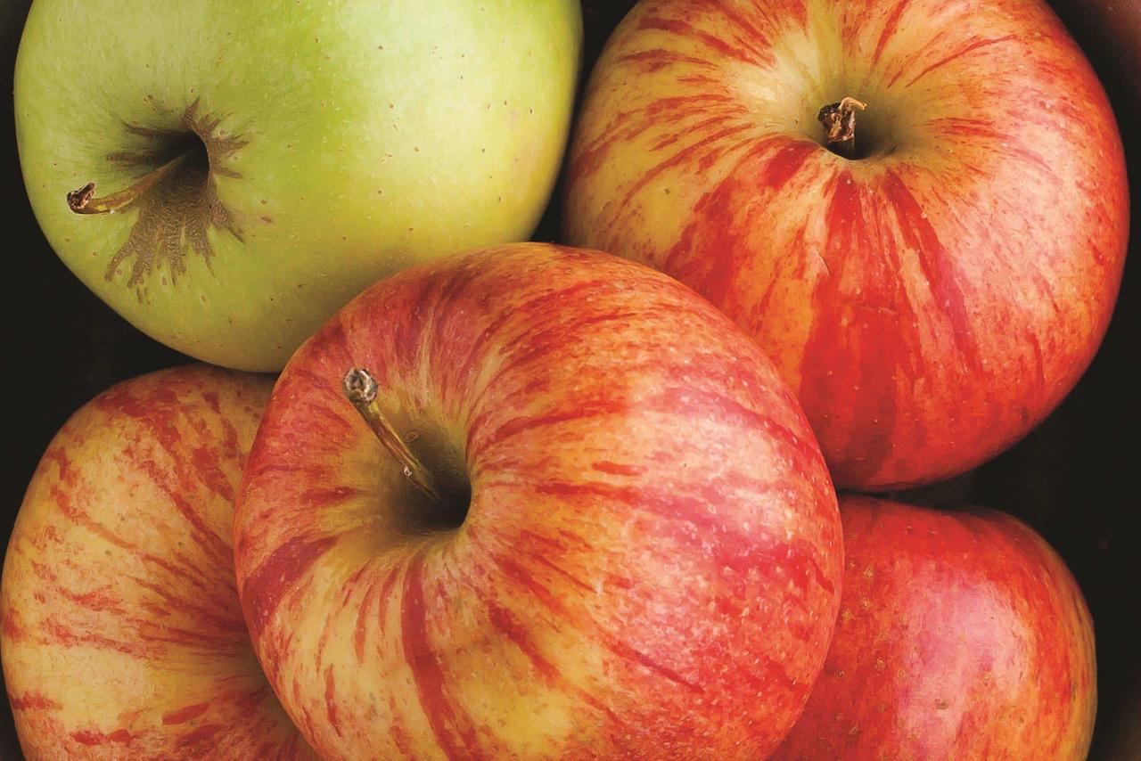 La Quinta By Wyndham Mobile - thumb 31