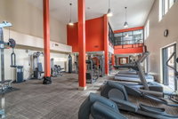 Amazing Apartments near the grove Accommodation Deal