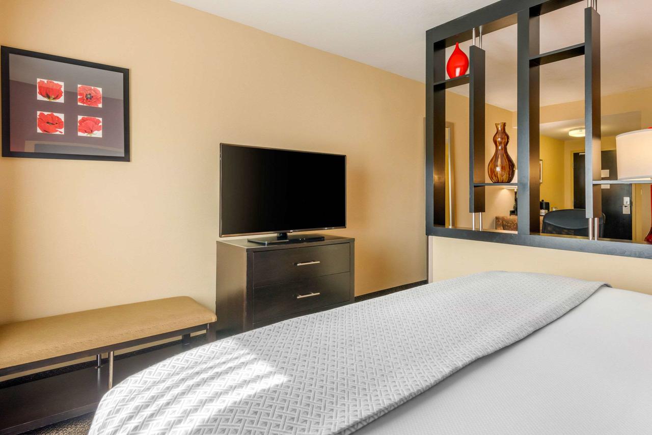 Cambria Hotel Ft Lauderdale, Airport South & Cruise Port - thumb 19