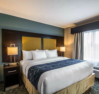 Comfort Suites Fort Lauderdale Airport South  Cruise Port - Accommodation Deal