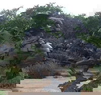 Create Your Own Dallas and Fort Worth Combination Tour - Accommodation Deal