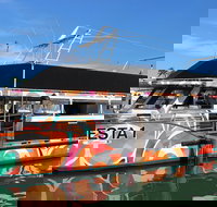 Miami Celebrity Homes Cruise - Accommodation Deal