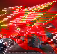 JFK Food and Culture Tour in Dallas - Accommodation Deal