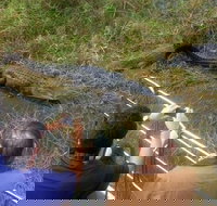 Everglades Tour in Miami - Accommodation Deal