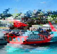 Pirates Adventures Sightseeing Tour from Miami - Accommodation Deal