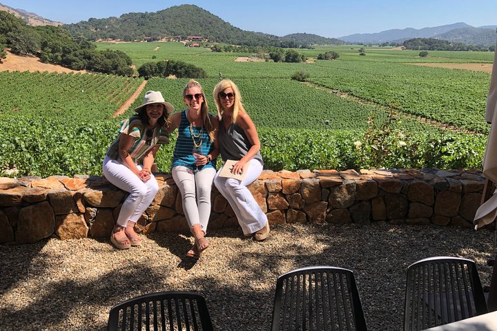 10 Passenger Luxury Sprinter Van Tour Of Napa Sonoma Wine Country - thumb 3