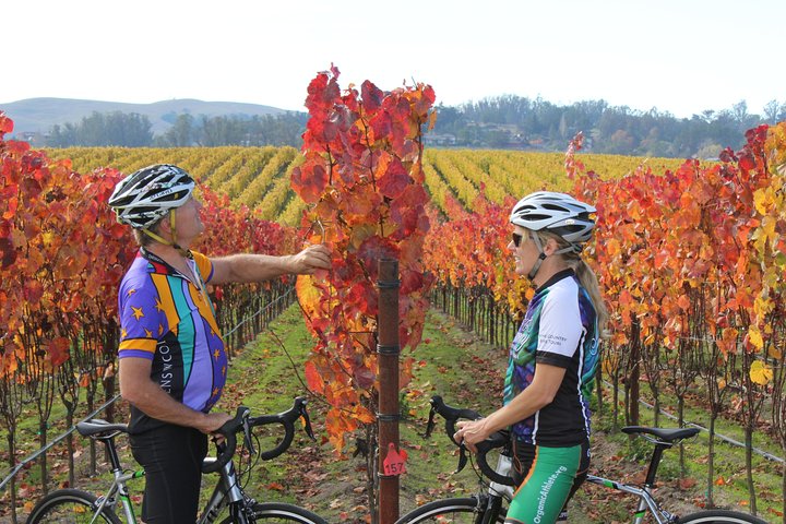 Calistoga Country Bike And Wine Tasting Tour - thumb 5