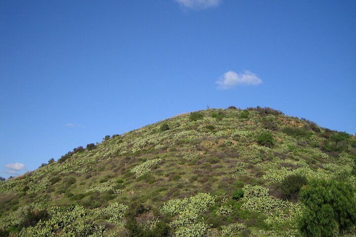 Family Nature Walk In The Foothills Of Orange - thumb 0