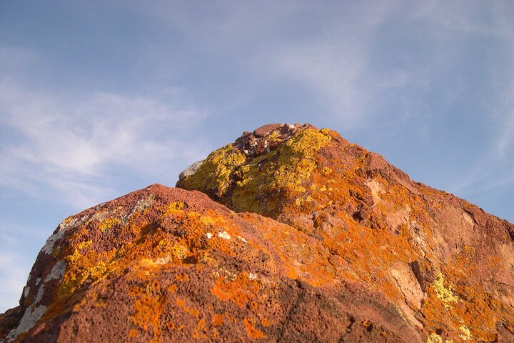 Family Nature Walk In The Foothills Of Orange - thumb 4