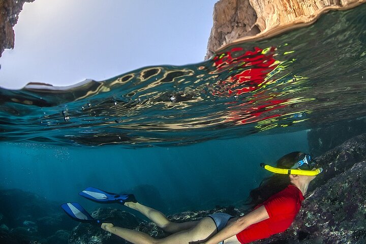 COMBO: Marine Wildlife & Reef Snorkel Adventure - Navy SEAL Boat, 14 Guest Max! - thumb 0