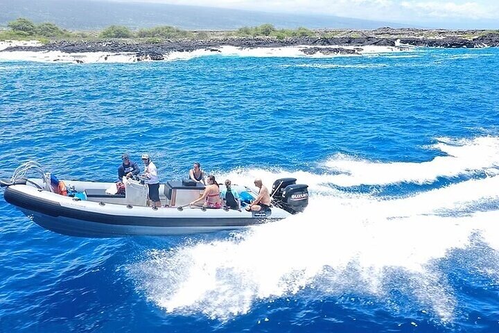 COMBO: Marine Wildlife & Reef Snorkel Adventure - Navy SEAL Boat, 14 Guest Max! - thumb 1