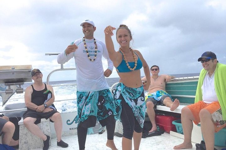 Dolphins And You Private Boat Charter