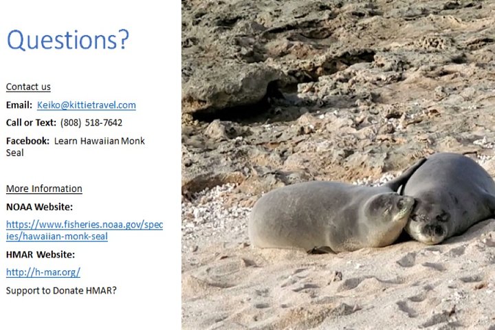 Virtual Hawaiian Monk Seal Class By Zoom
