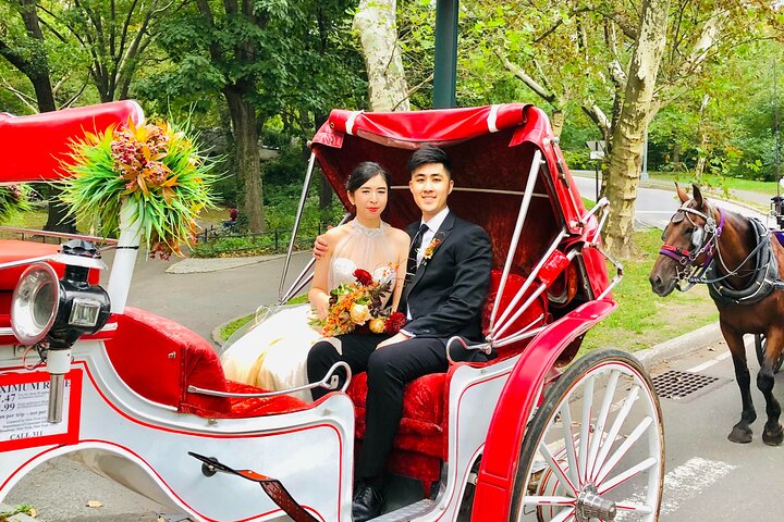 VIP Special Occasion Horse Carriage Ride In Central Park With Champagne (50 Min) - thumb 0