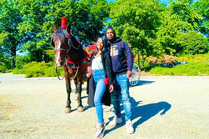 VIP Special Occasion Horse Carriage Ride In Central Park With Champagne (50 Min) - thumb 1