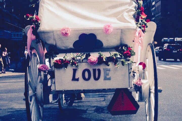 VIP Special Occasion Horse Carriage Ride In Central Park With Champagne (50 Min) - thumb 2