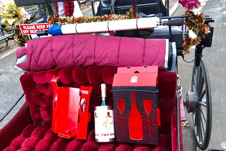 VIP Special Occasion Horse Carriage Ride In Central Park With Champagne (50 Min) - thumb 3