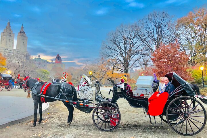 VIP Special Occasion Horse Carriage Ride In Central Park With Champagne (50 Min) - thumb 4